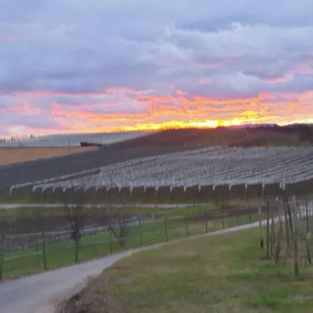 Jakob Kressbronn am Bodensee