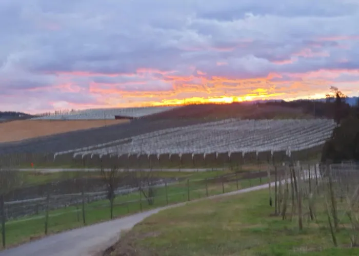 Jakob Kressbronn am Bodensee